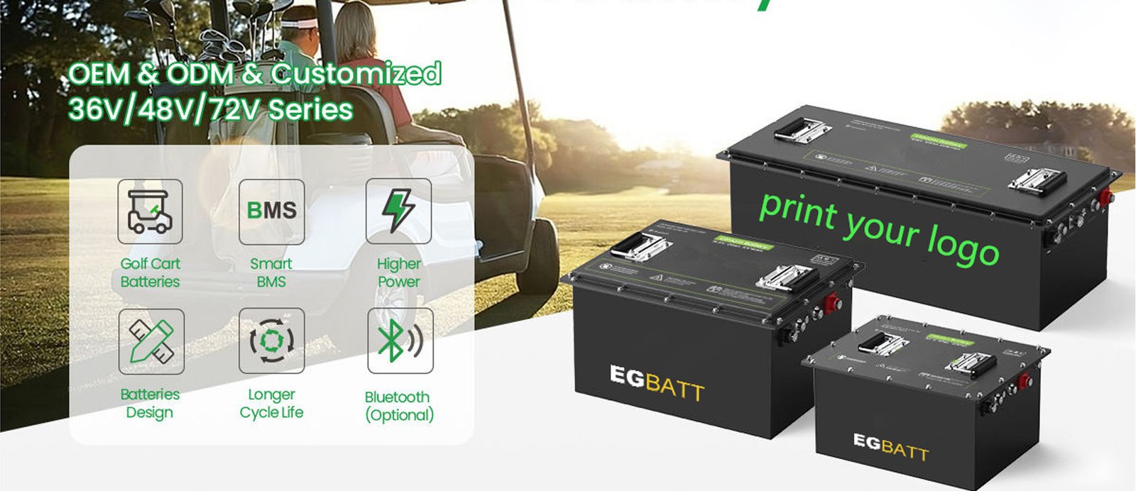 48V-lithium-golf-cart-customized