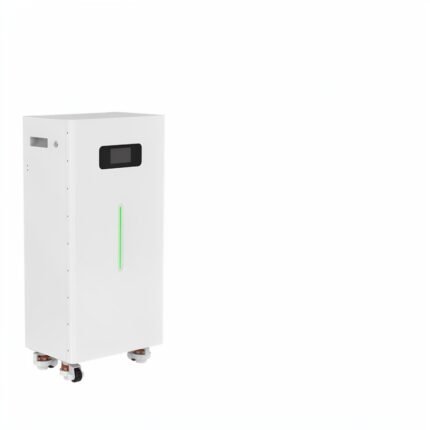 16.08kWh Mobile LiFePO4 Energy Storage Battery | 51.2V 314Ah IP65 Modular ESS with Wheels for Residential & Commercial